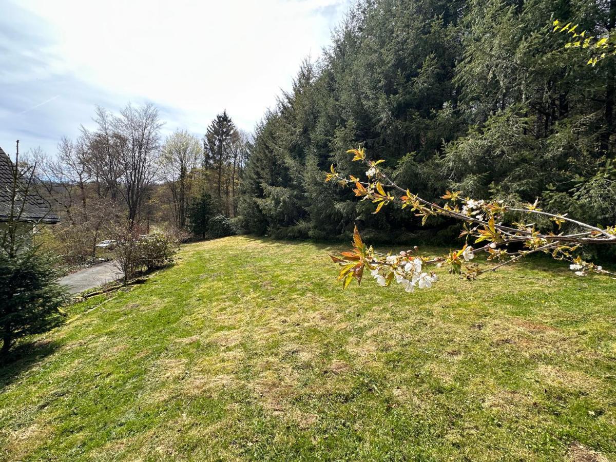 Charming Villa On The Forest In Wald 12 Guests Hugh Garden Willingen Sauerland Brilon Bagian luar foto